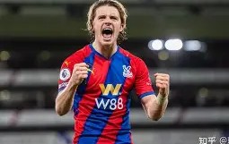 BBIN电子-克里斯特尔宫客场挫败，战绩下滑的简单介绍